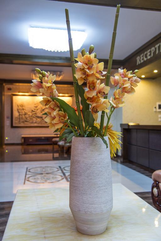 Elektra Vama Veche Hotel Ngoại thất bức ảnh